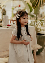 Blue Rosette Embroidered Clips