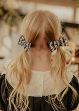 Victorian Rose Striped Piggy Clips