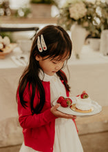 Strawberry Embroidered Clips