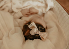 Pale Pink Silk Party Bow