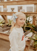 Powder Blue Gingham Small Clip