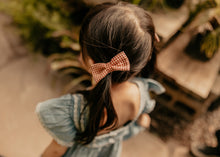 Red Gingham Piggy Clips