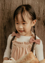 Red Gingham Piggy Clips