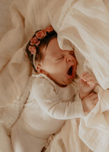 Organza Sheer / Rosettes Newborn Set