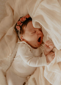 Organza Sheer / Rosettes Newborn Set