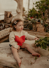 Mini Cherry Embroidered Clips