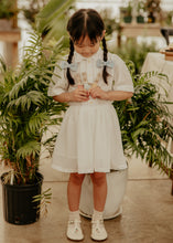 Powder Blue Gingham Piggy Clips