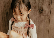 Red Gingham Piggy Clips