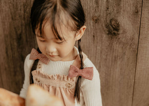 Red Gingham Piggy Clips