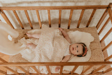 Organza Sheer / Rosettes Newborn Set