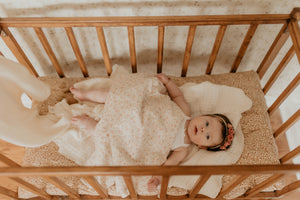 Organza Sheer / Rosettes Newborn Set