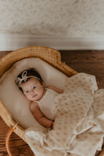 Organza Sheer / Rosettes Newborn Set